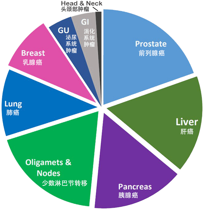 全球MRIdian治疗的疾病部位占比